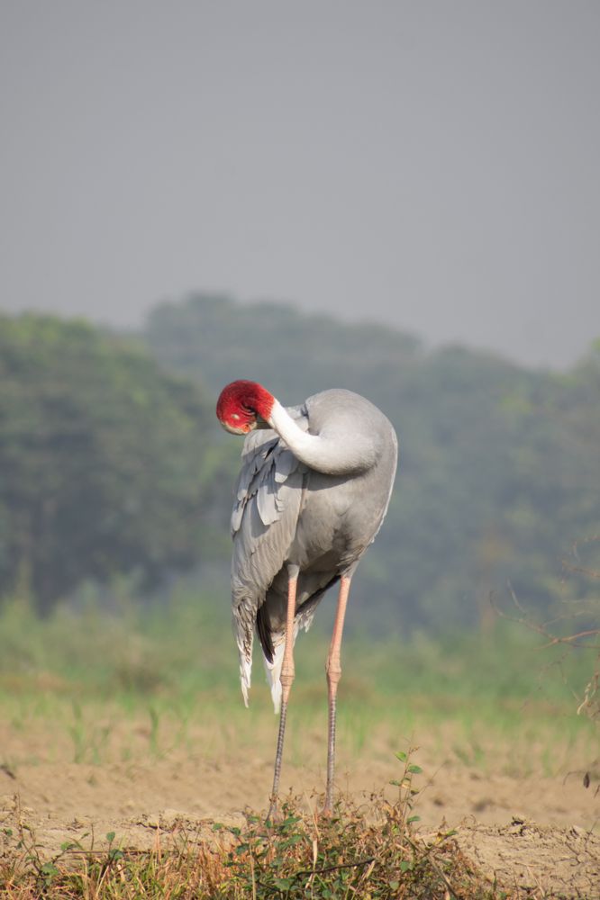 Photograph by Chaitanya gupta