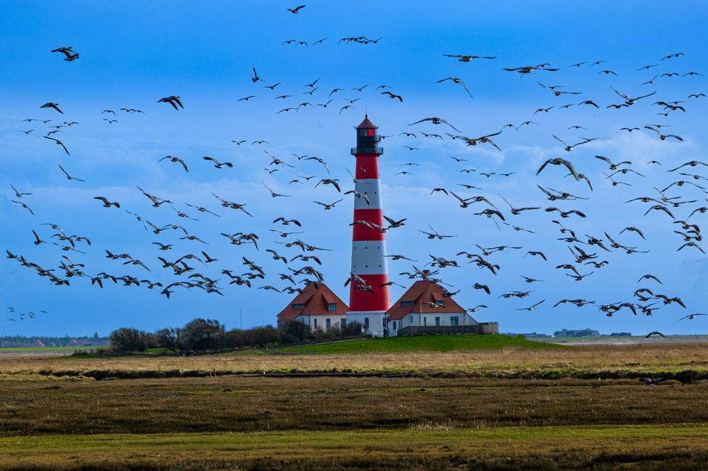 Photograph by Bernd3011