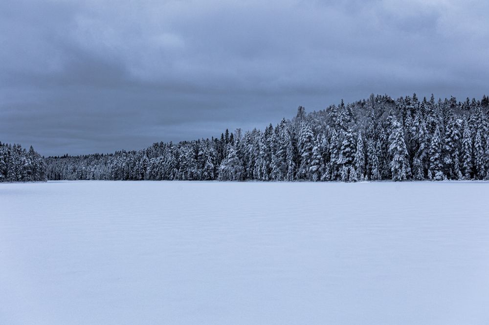 Photograph by Алёна Дударева