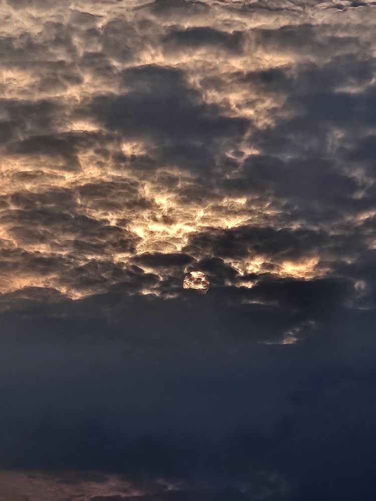 Photograph by Venkatesh Rao