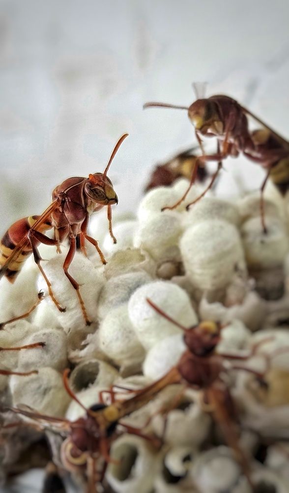 Photograph by Venkatesh Rao