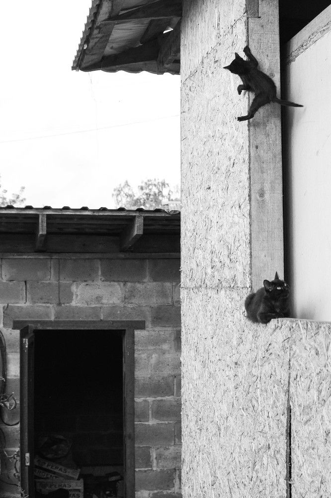 Photograph by Ксения Воробьева