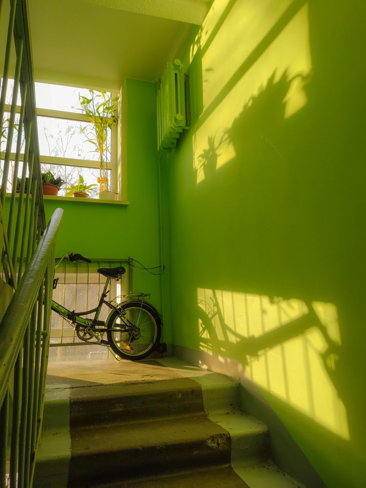 Photograph by Алёна Дударева