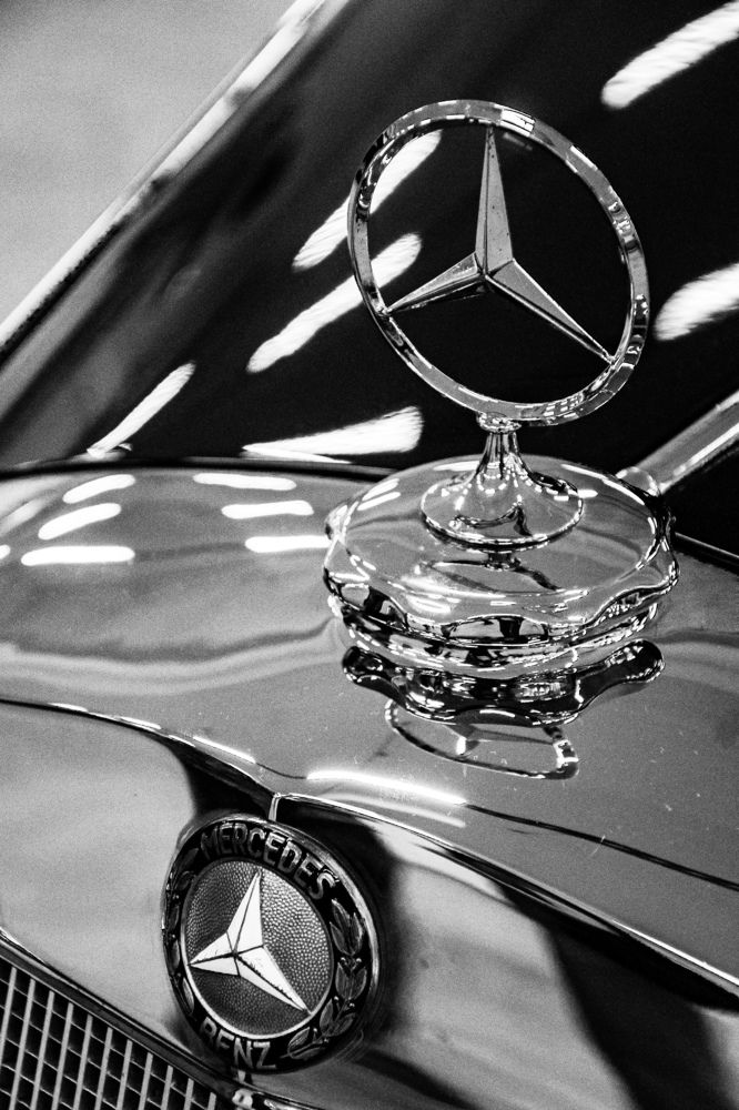 Photograph by Игорь Овсиенко