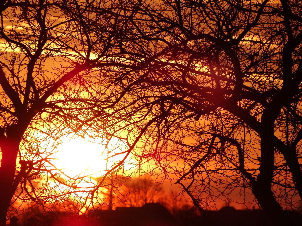 Photograph by Янина Милош