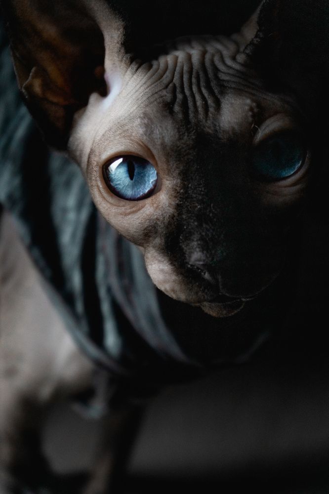 Photograph by Алёна Корнеева