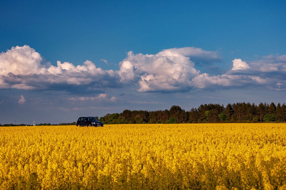 Photograph by Игорь Овсиенко