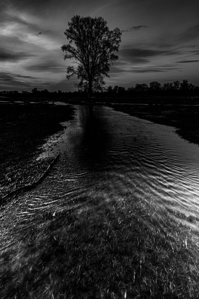 Photograph by Сергей Синягин