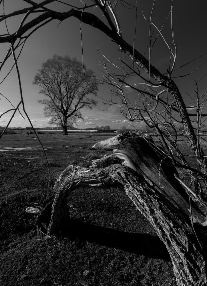 Photograph by Сергей Синягин