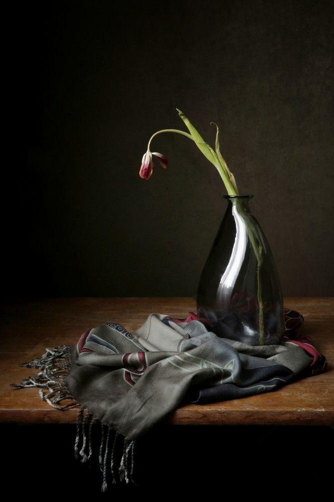 Photograph by Елена Коврижных