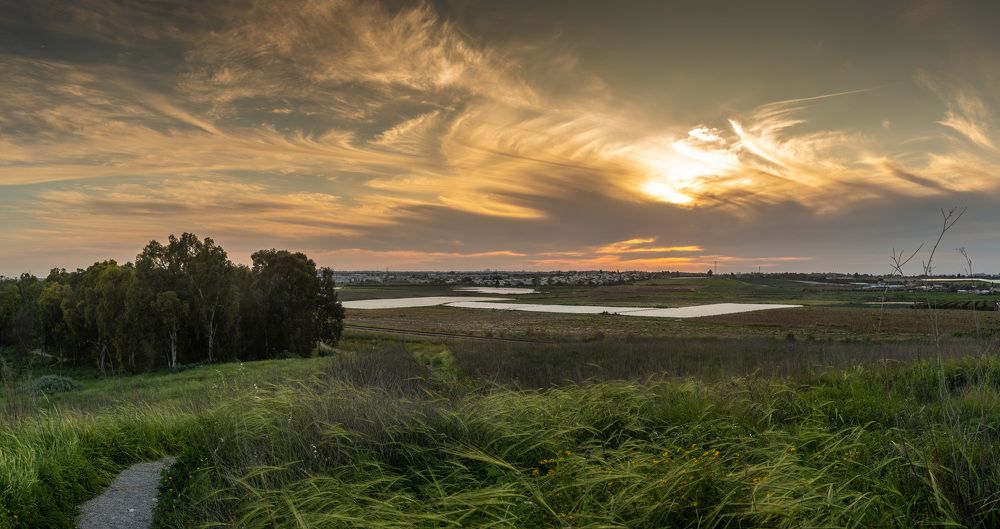 Photograph by Vladimir Bragilevsky