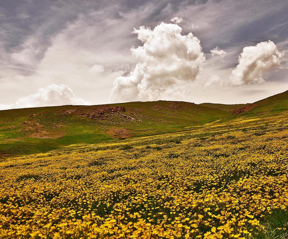 Photograph by Behzad Ardalan Yekta