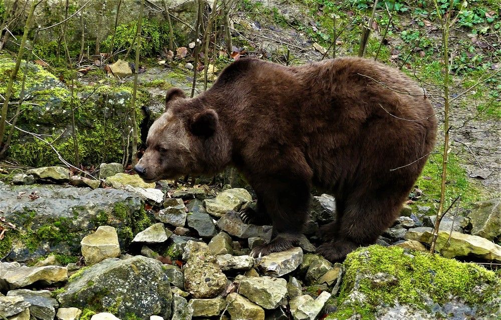 Сила и мощь(серия)