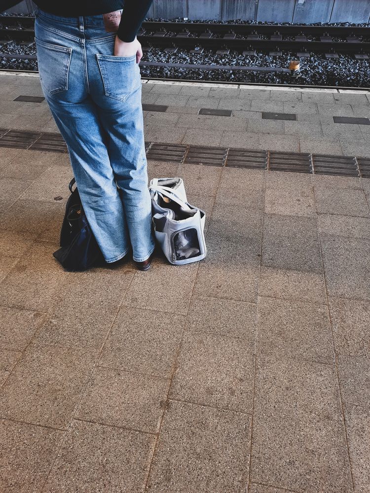 A Dutch girl with her rabbit on train station