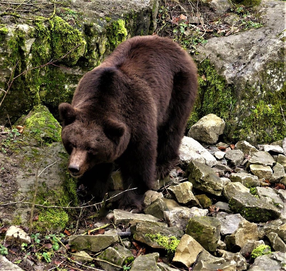 Сила и мощь(серия)