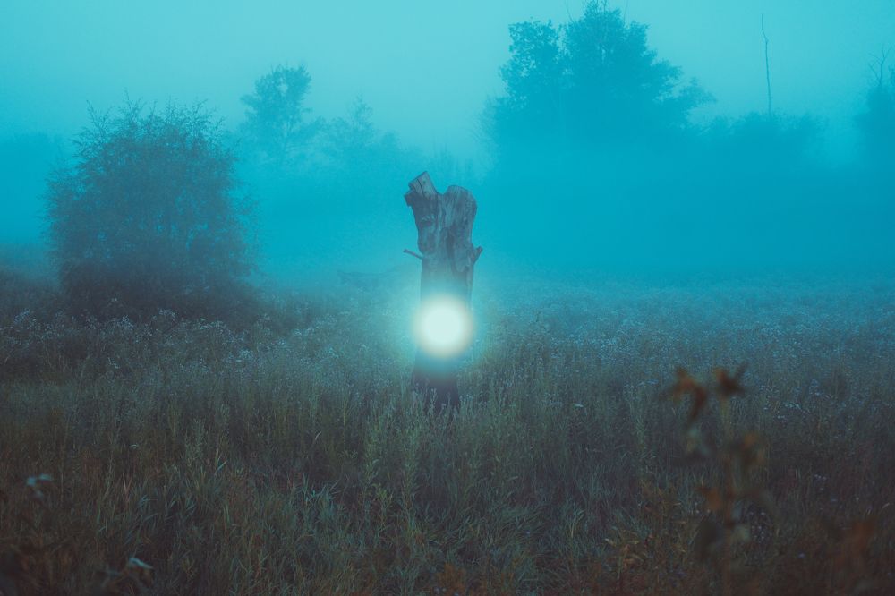 Photograph by Артем