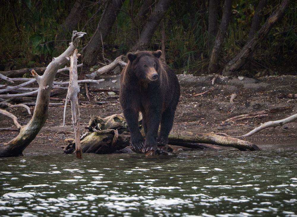 Photograph by Матвей Матвеев
