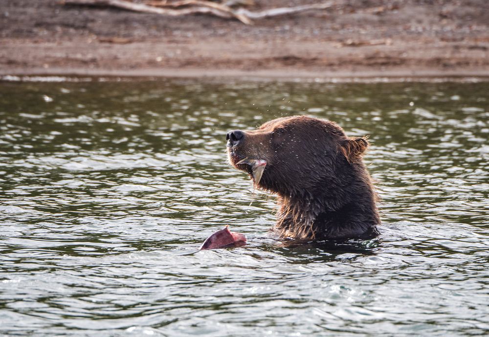 Photograph by Матвей Матвеев