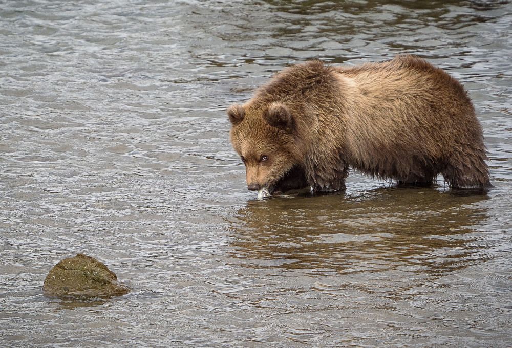 Photograph by Матвей Матвеев