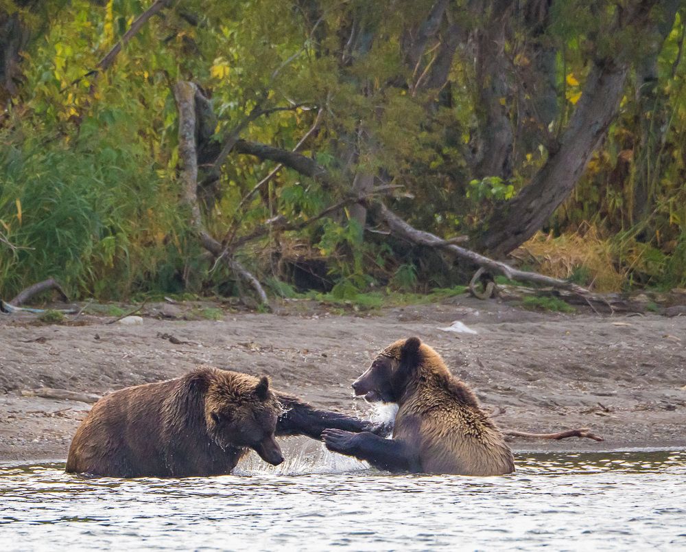 Photograph by Матвей Матвеев