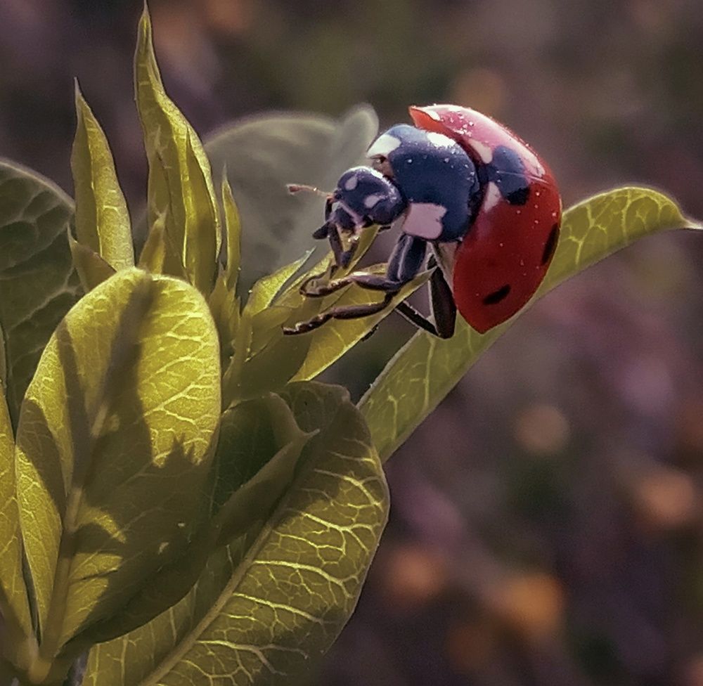 Photograph by Оксана