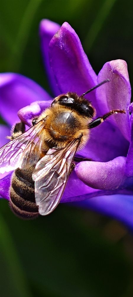 Photograph by Анна Курлова