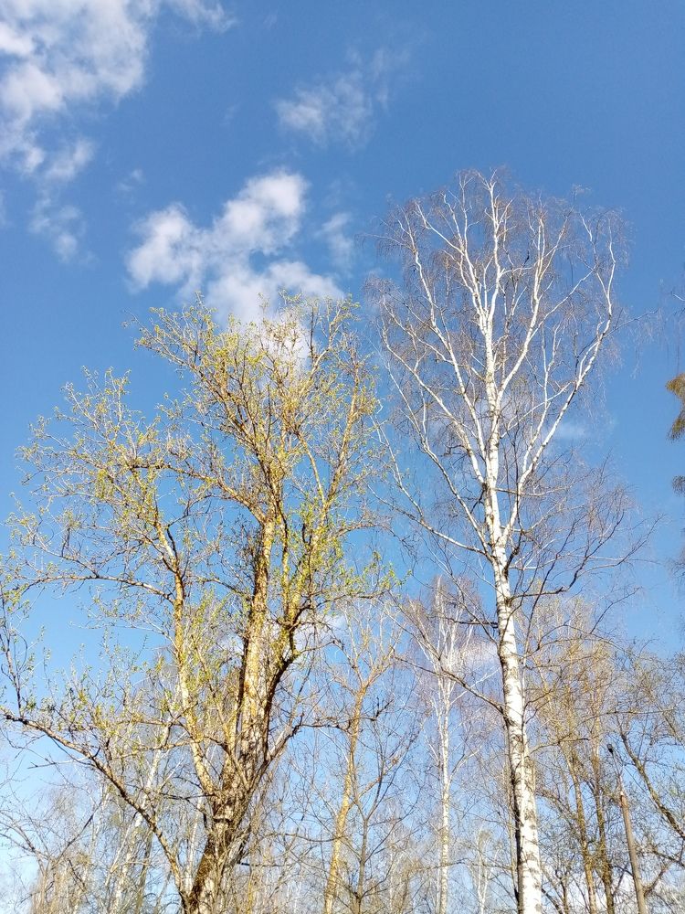 Photograph by Ирина Жемчужина