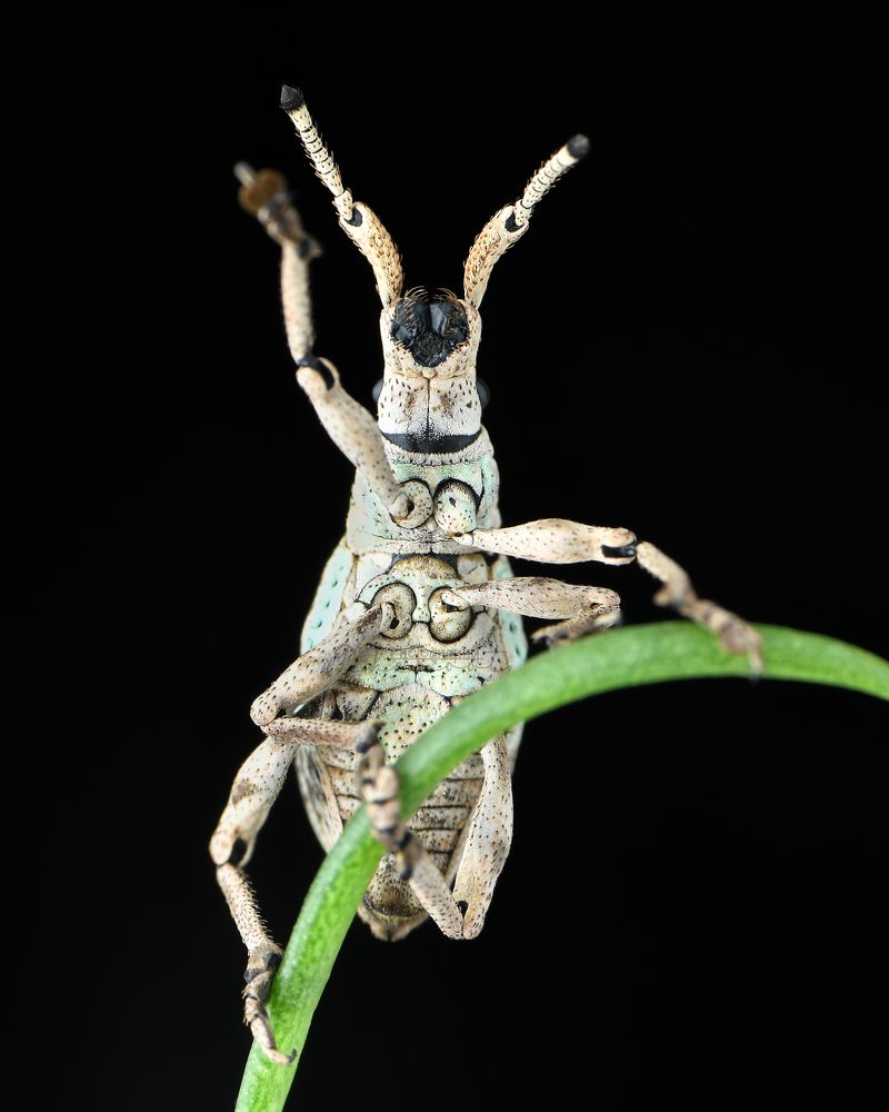 Photograph by deniard 1