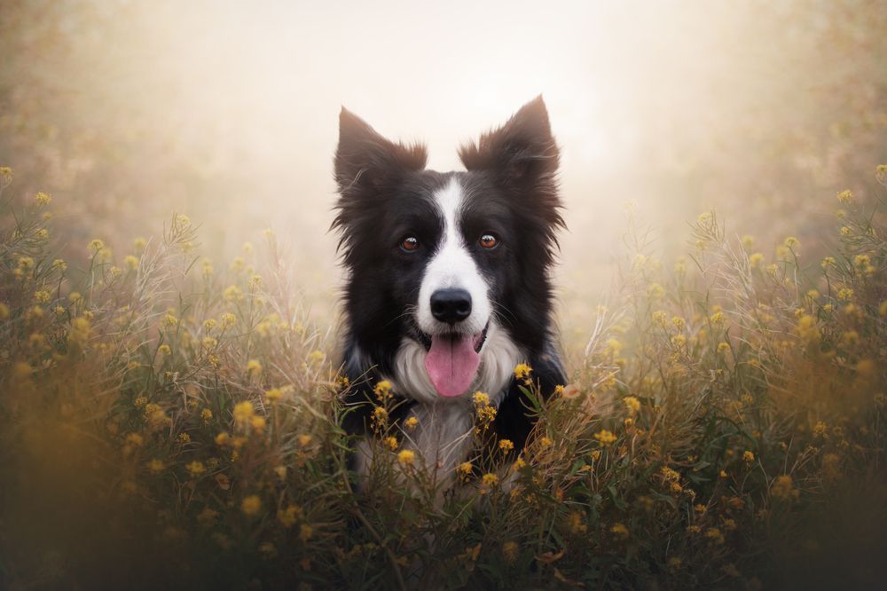 Photograph by leticia pascual garcia