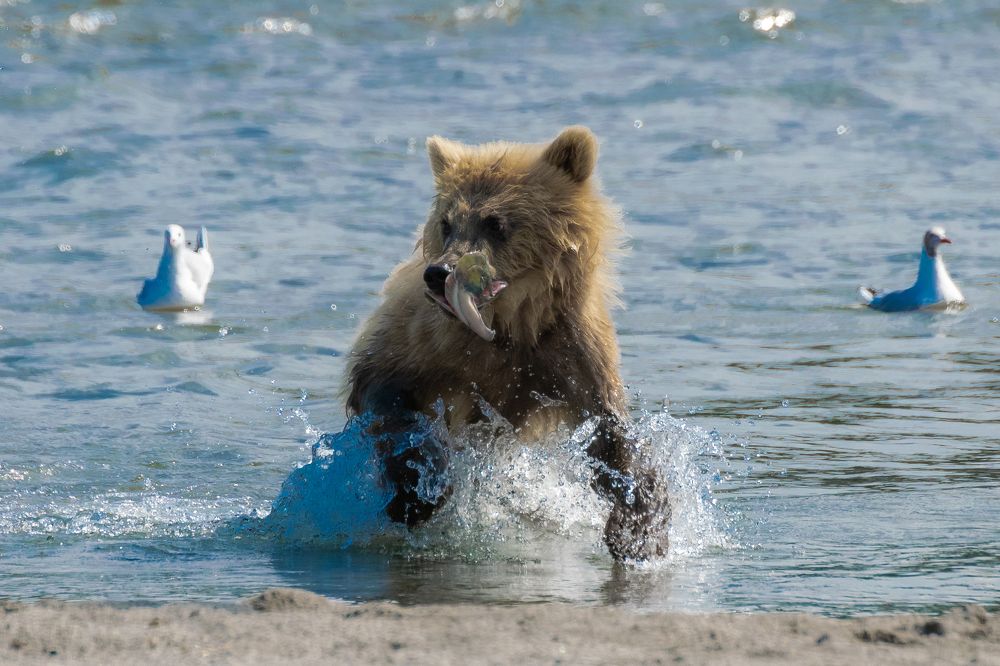 Photograph by Юлия Хобта