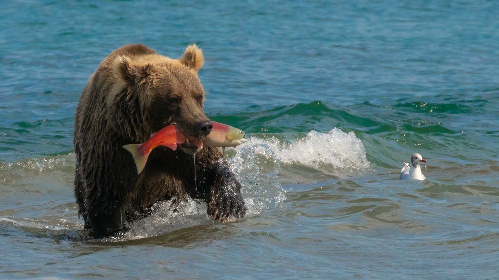 Photograph by Юлия Хобта