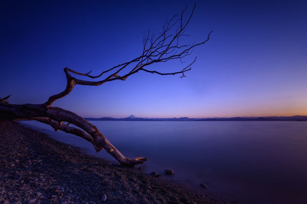 Фотография автора Egor Kondratev