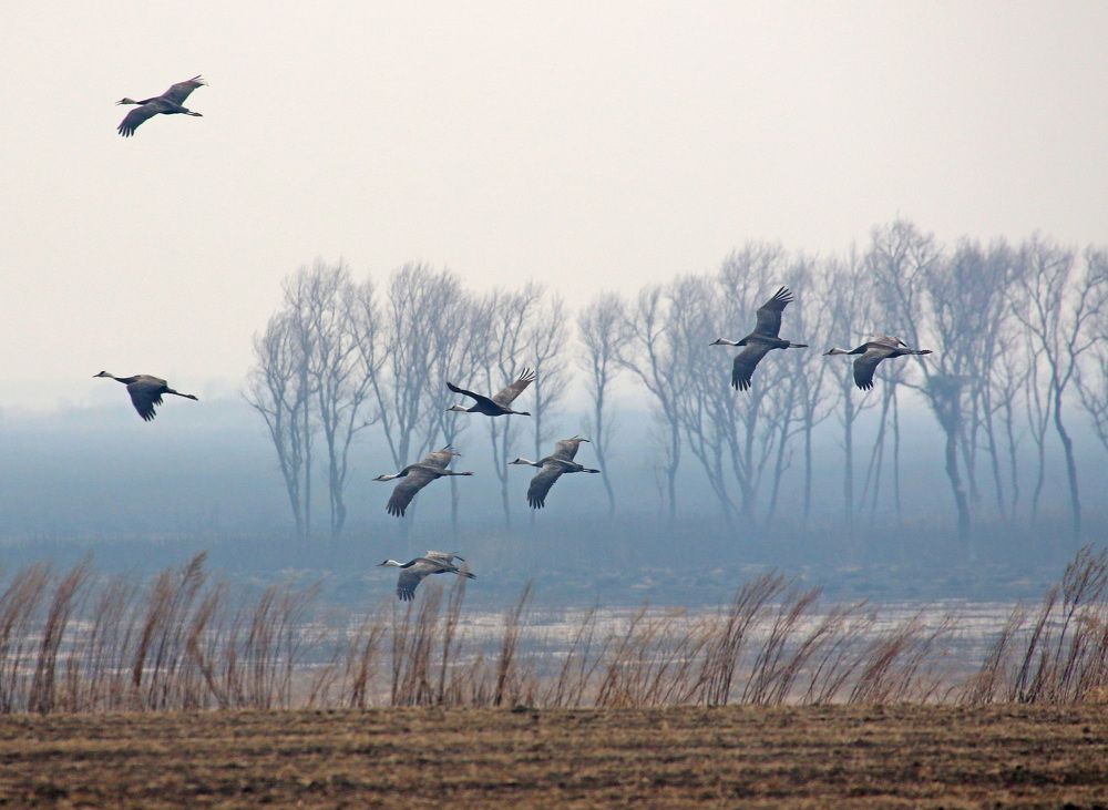 Photograph by Александр Ефимов