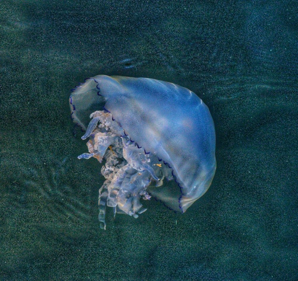 Photograph by Василиса Прекрасная