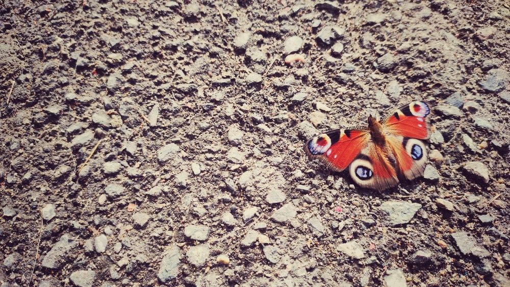 Photograph by Калюнова Наталья