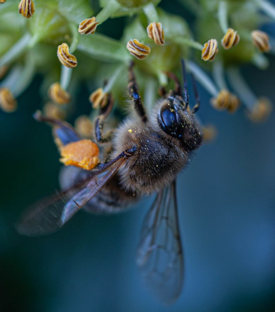 Фотография автора DIMITRIS MPAZIOTOPOULOS
