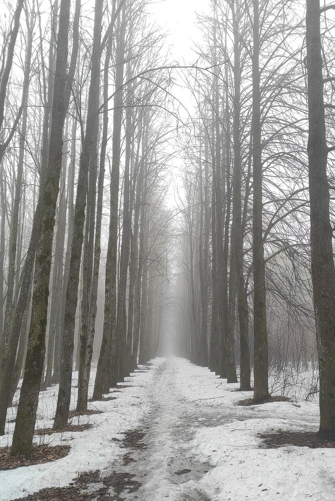 Photograph by PERESHEIN ANDREY