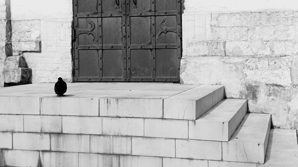 Photograph by Андрей Козаков