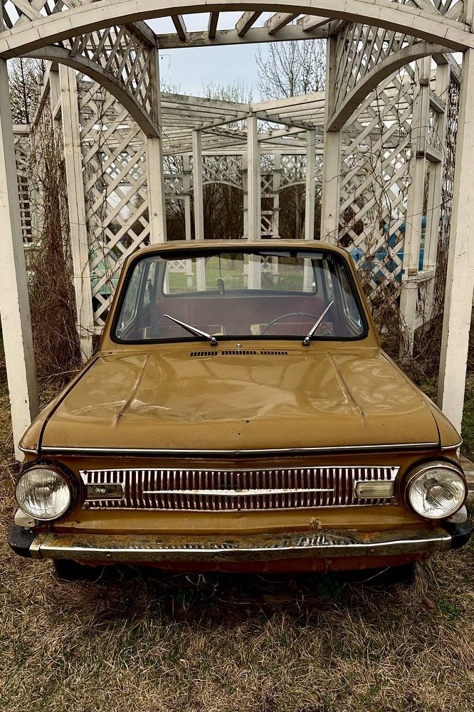 Photograph by Евгения Казакова