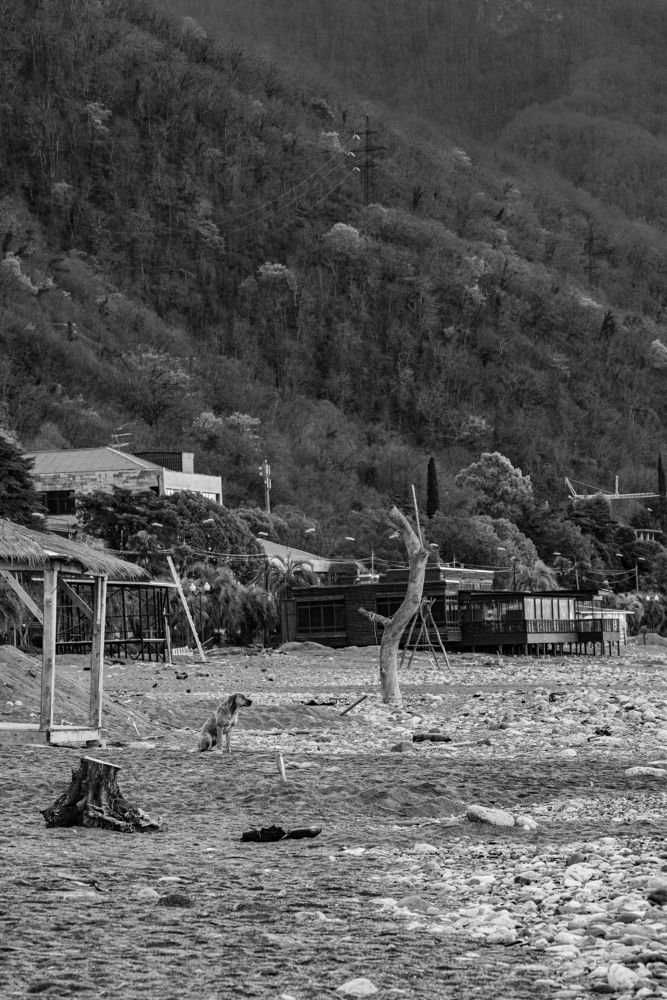 Photograph by Сергей Зимин