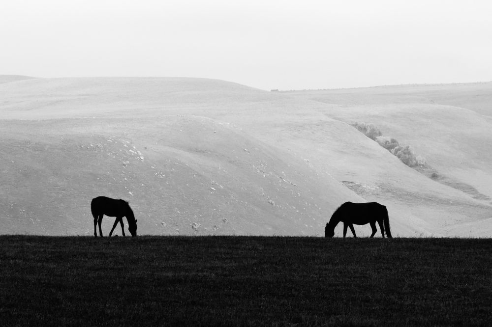 Photograph by Роман Колодяжный