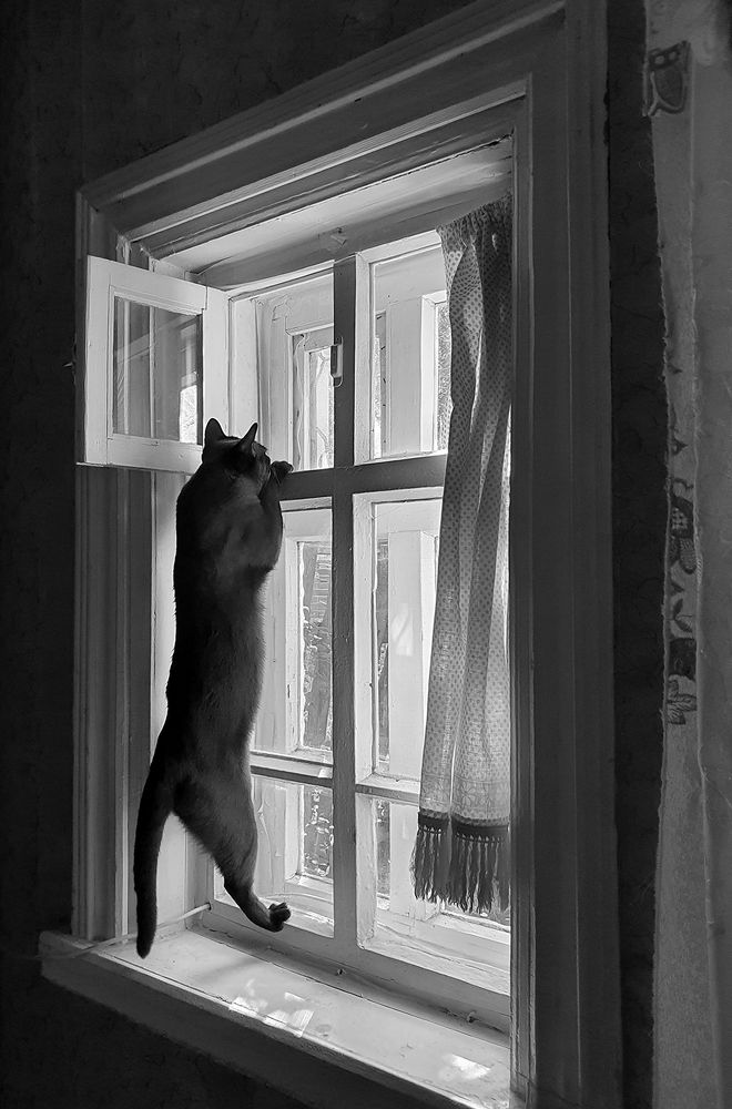 Там, за окном новый мир!