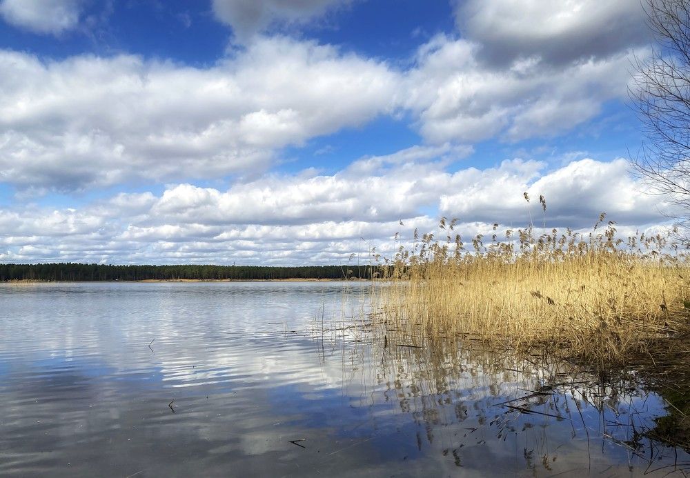 Photograph by Анна Панеева