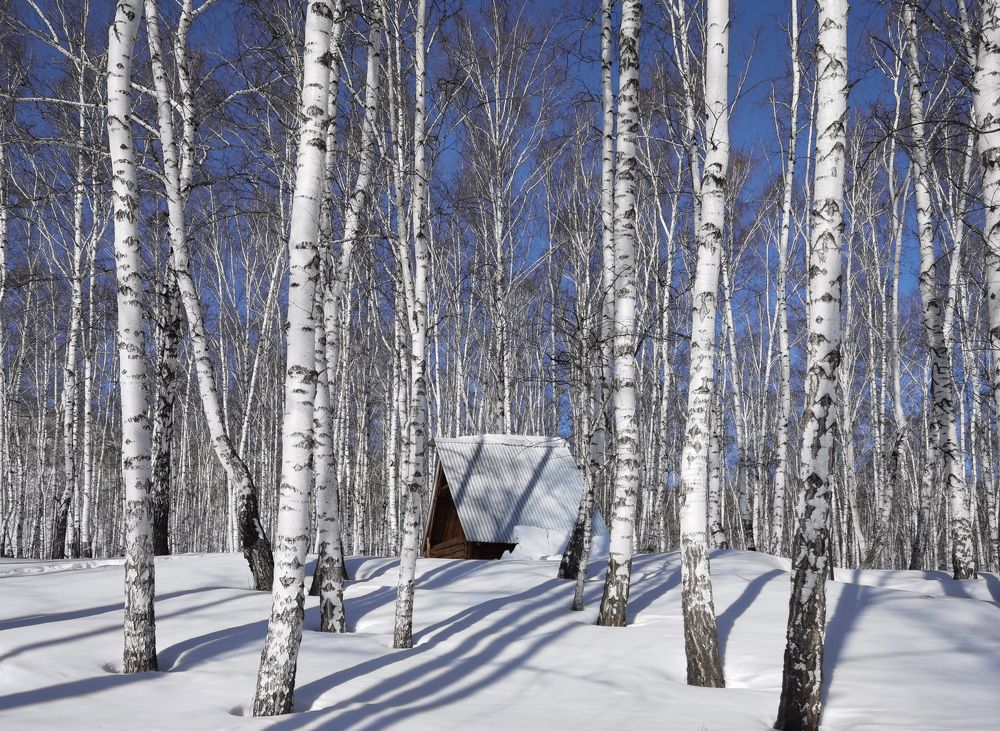 Photograph by Inna Ivanova