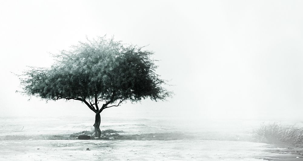 Photograph by Luis Rodríguez Araiza