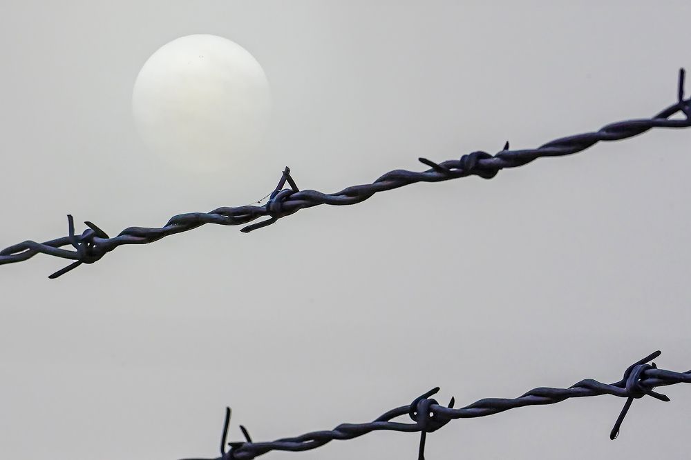 Photograph by Luis Rodríguez Araiza