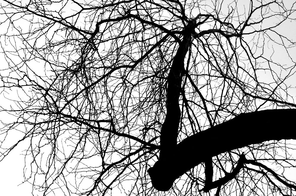 Photograph by Эльдияр Исаков