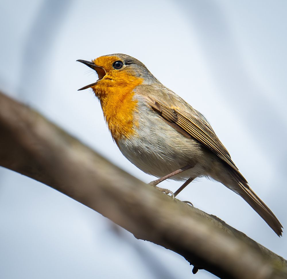 Photograph by Курлянцев Алексей