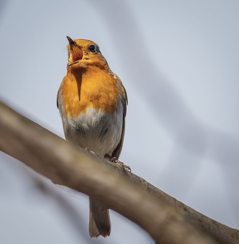 Photograph by Курлянцев Алексей