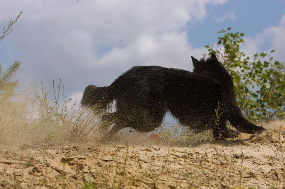 Фотография автора Надежда Лисицына